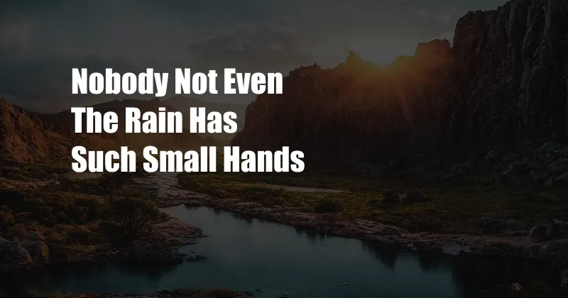 Nobody Not Even The Rain Has Such Small Hands