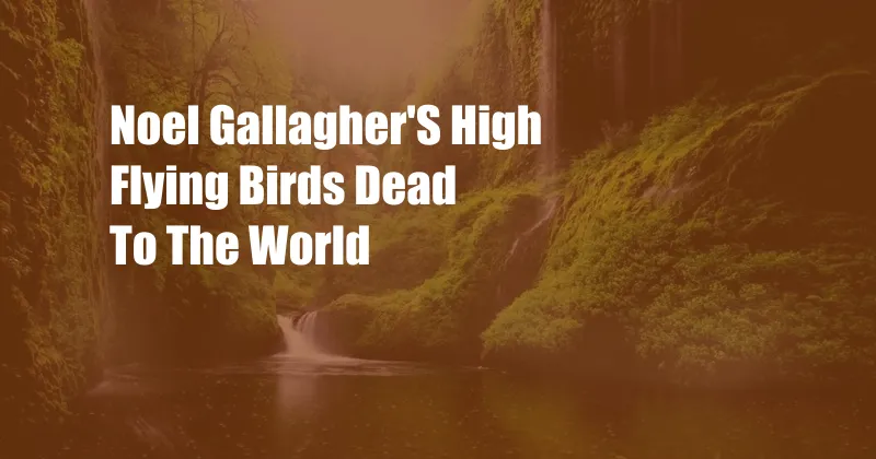 Noel Gallagher'S High Flying Birds Dead To The World