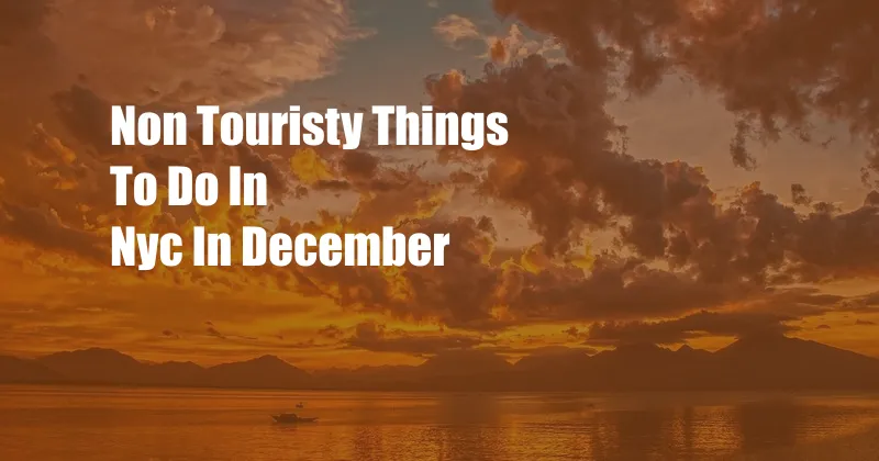 Non Touristy Things To Do In Nyc In December