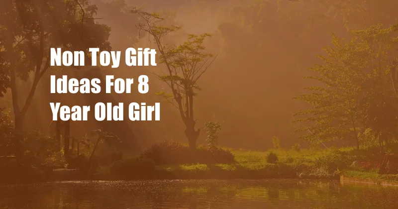 Non Toy Gift Ideas For 8 Year Old Girl