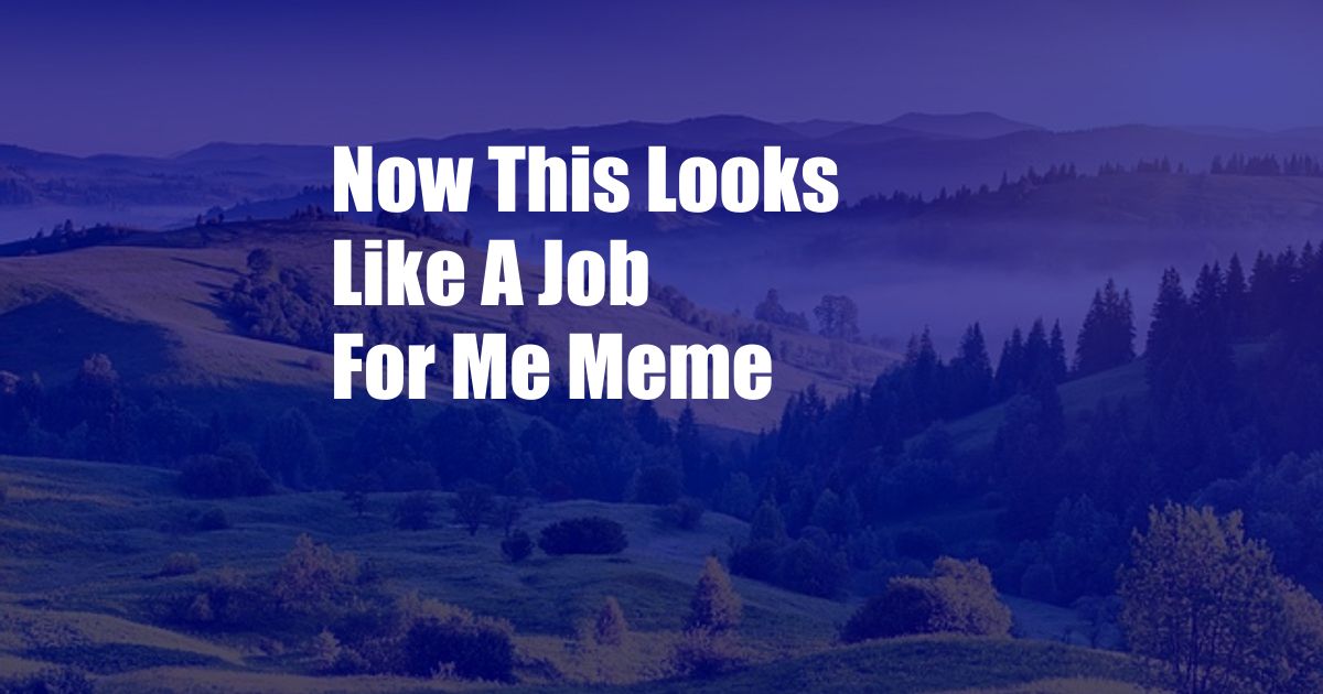 Now This Looks Like A Job For Me Meme