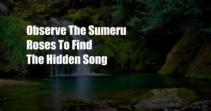 Observe The Sumeru Roses To Find The Hidden Song