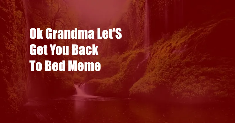 Ok Grandma Let'S Get You Back To Bed Meme