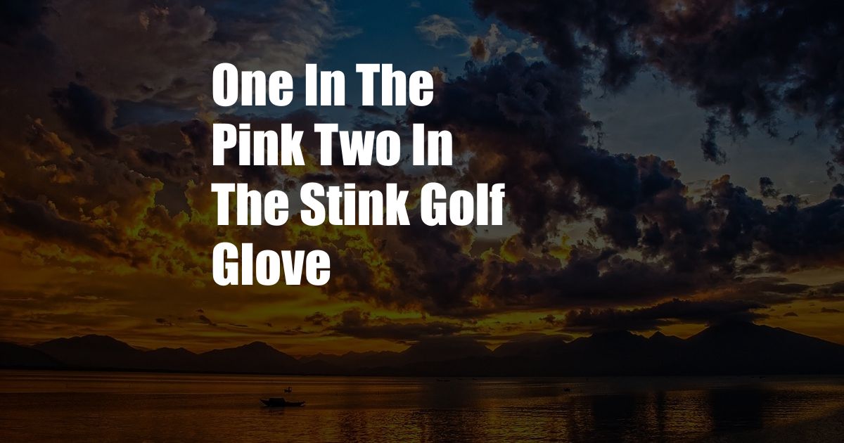 One In The Pink Two In The Stink Golf Glove