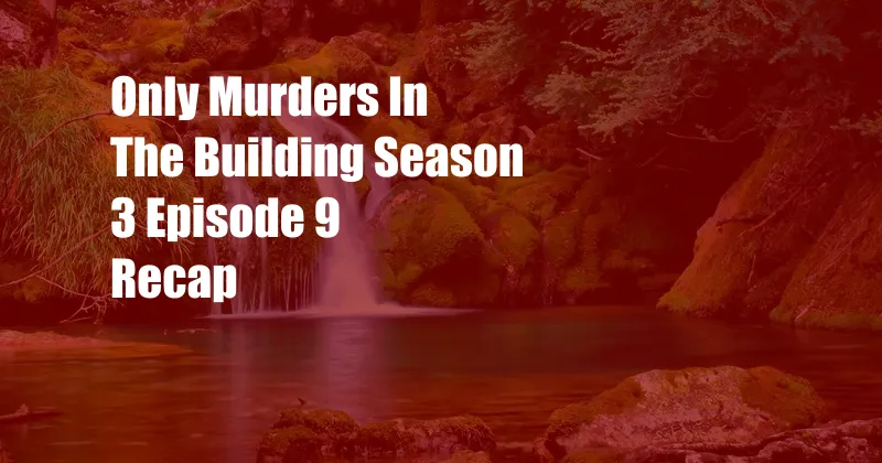 Only Murders In The Building Season 3 Episode 9 Recap