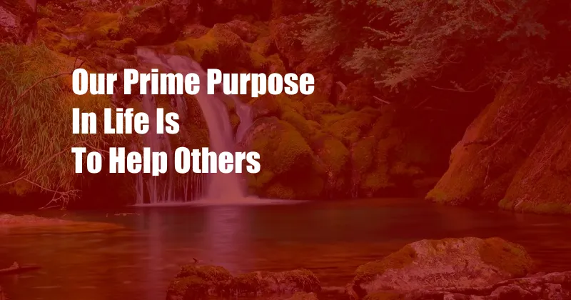 Our Prime Purpose In Life Is To Help Others
