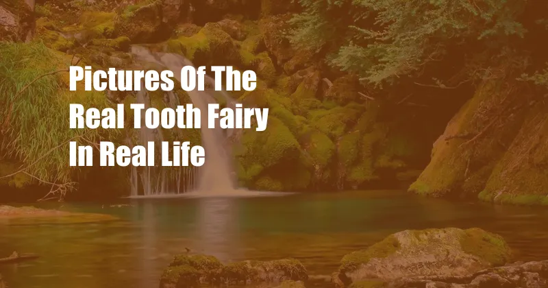 Pictures Of The Real Tooth Fairy In Real Life