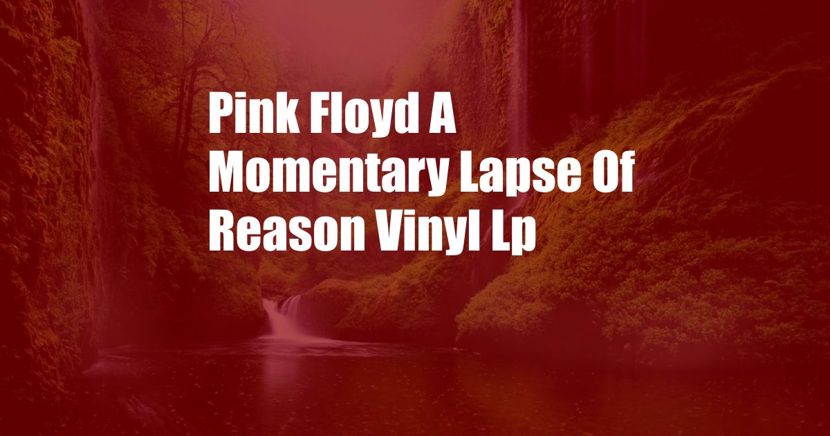 Pink Floyd A Momentary Lapse Of Reason Vinyl Lp