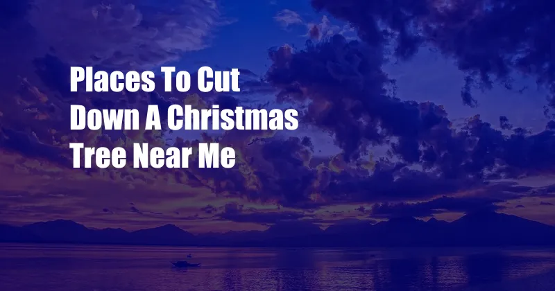 Places To Cut Down A Christmas Tree Near Me