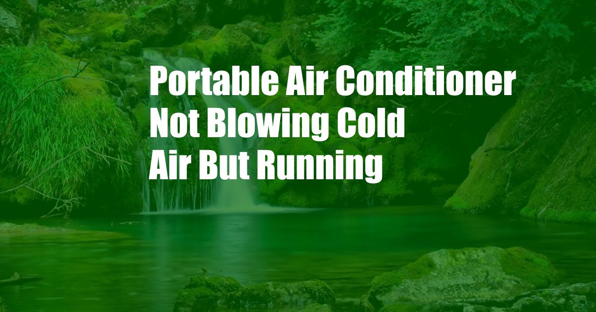 Portable Air Conditioner Not Blowing Cold Air But Running