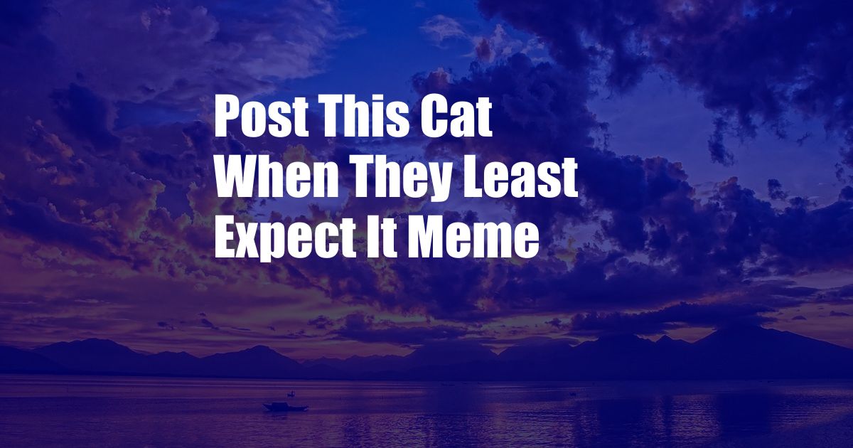 Post This Cat When They Least Expect It Meme