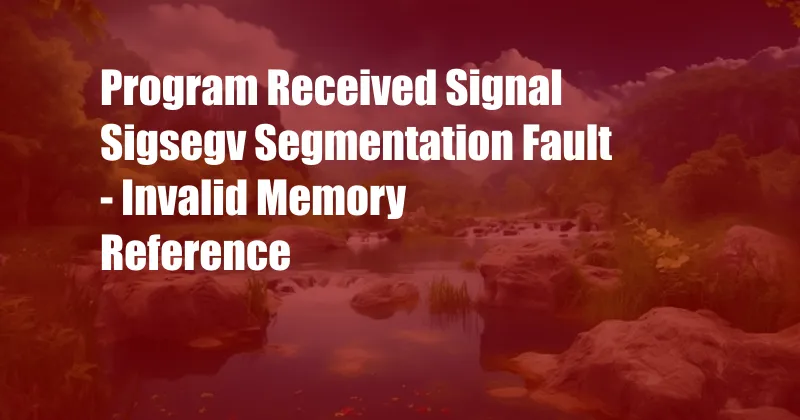 Program Received Signal Sigsegv Segmentation Fault - Invalid Memory Reference