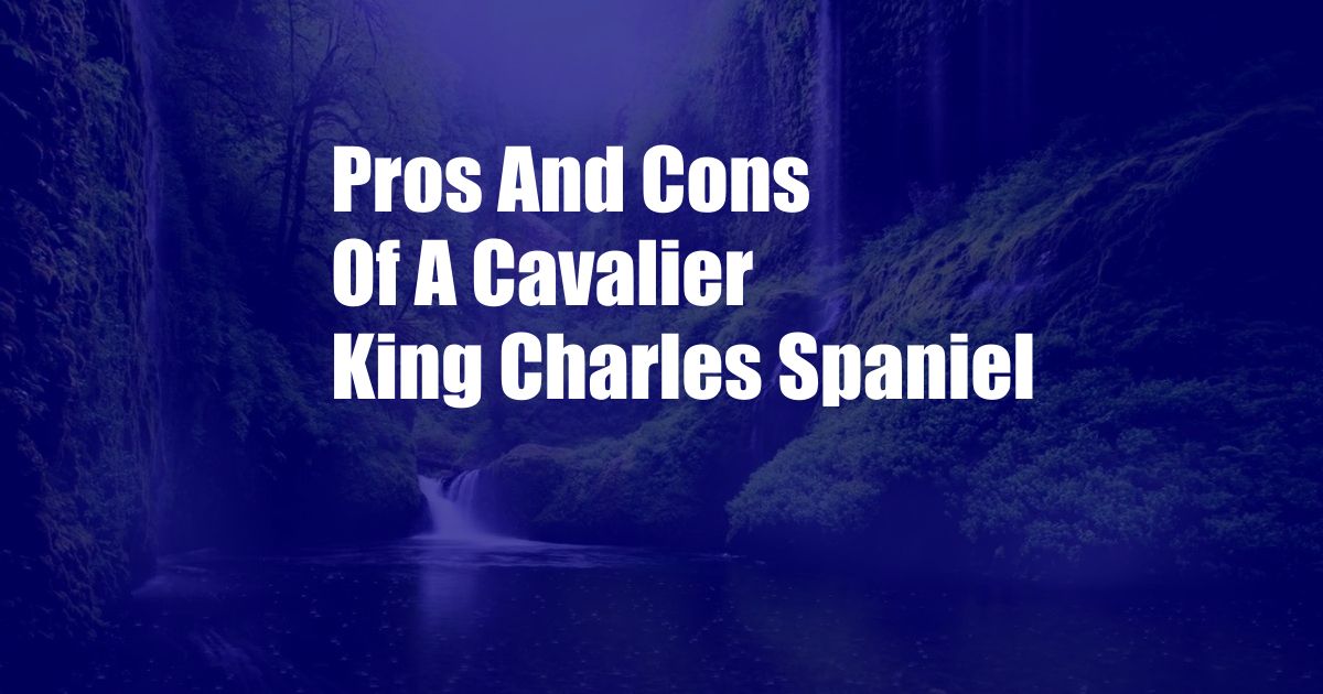 Pros And Cons Of A Cavalier King Charles Spaniel