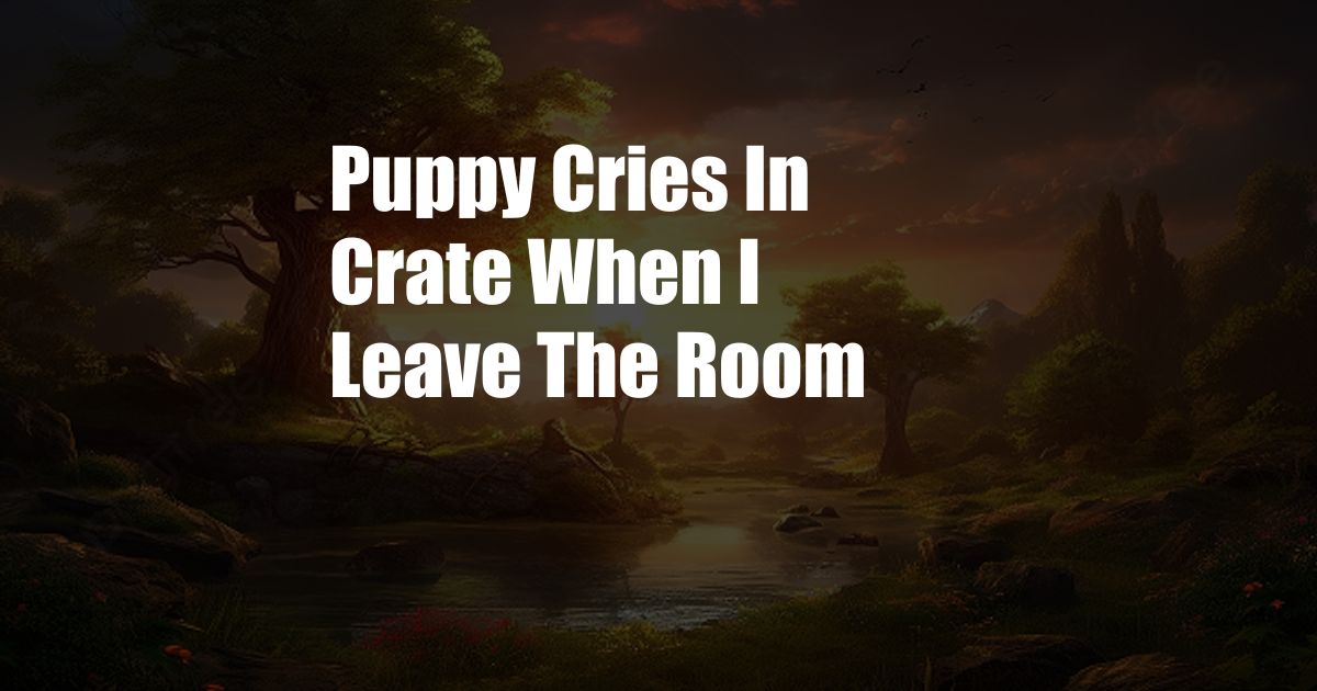 Puppy Cries In Crate When I Leave The Room