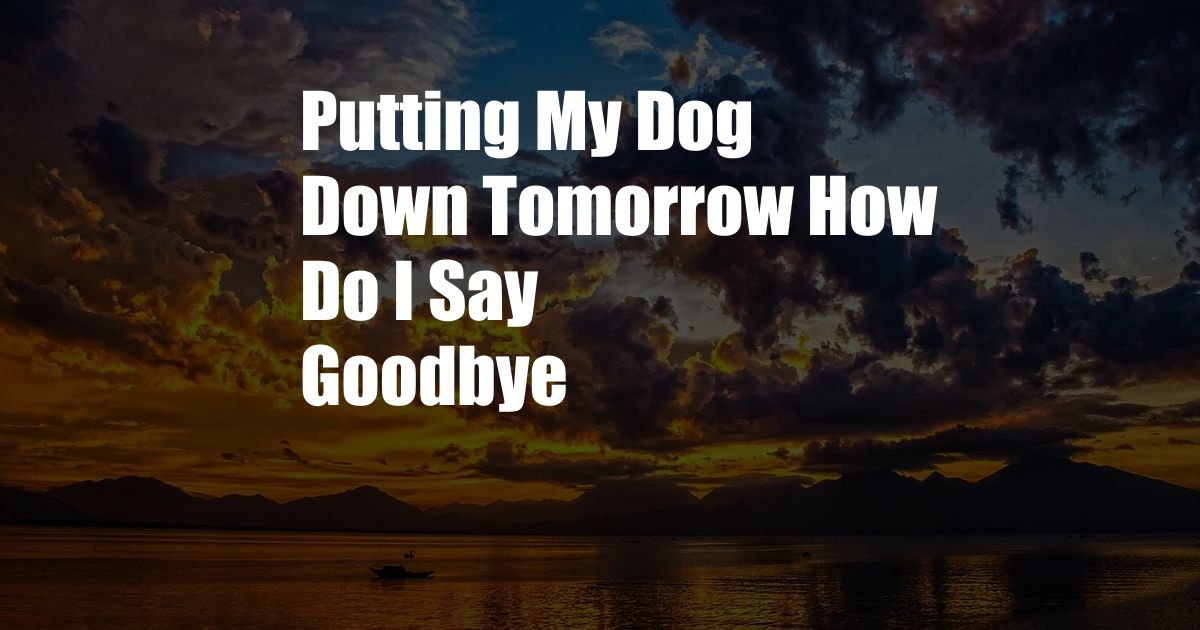 Putting My Dog Down Tomorrow How Do I Say Goodbye