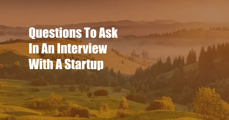 Questions To Ask In An Interview With A Startup