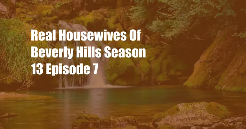 Real Housewives Of Beverly Hills Season 13 Episode 7