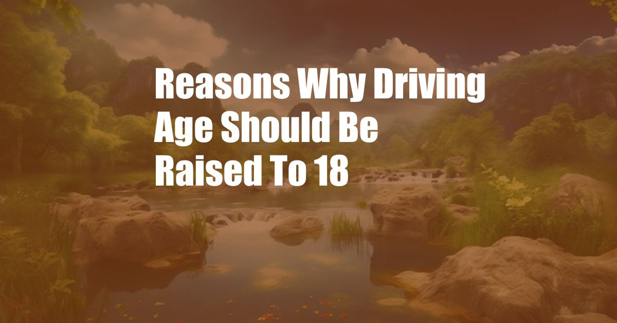 Reasons Why Driving Age Should Be Raised To 18