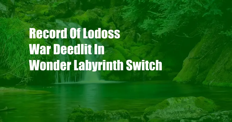 Record Of Lodoss War Deedlit In Wonder Labyrinth Switch