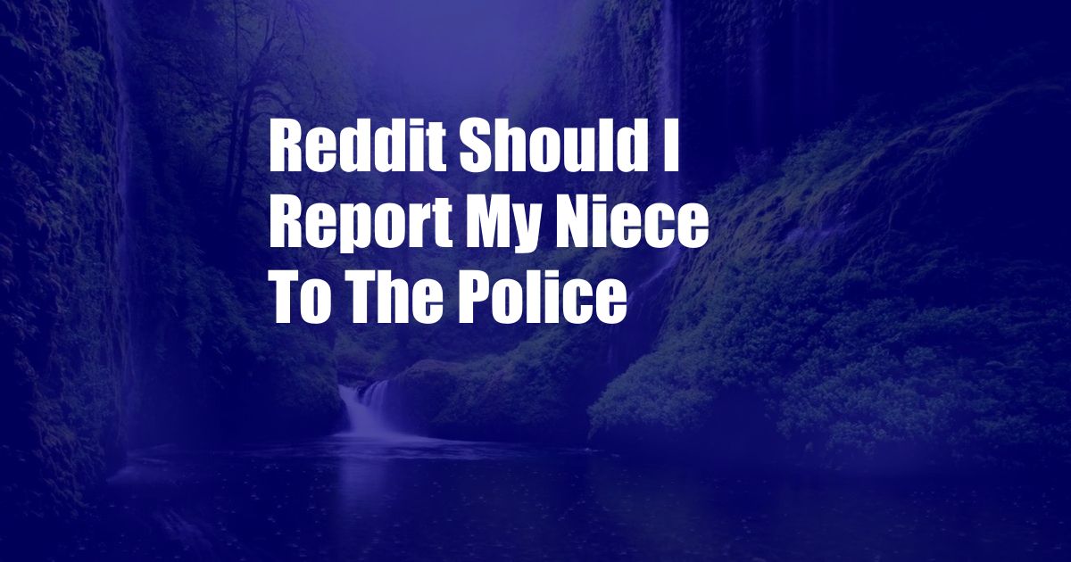 Reddit Should I Report My Niece To The Police