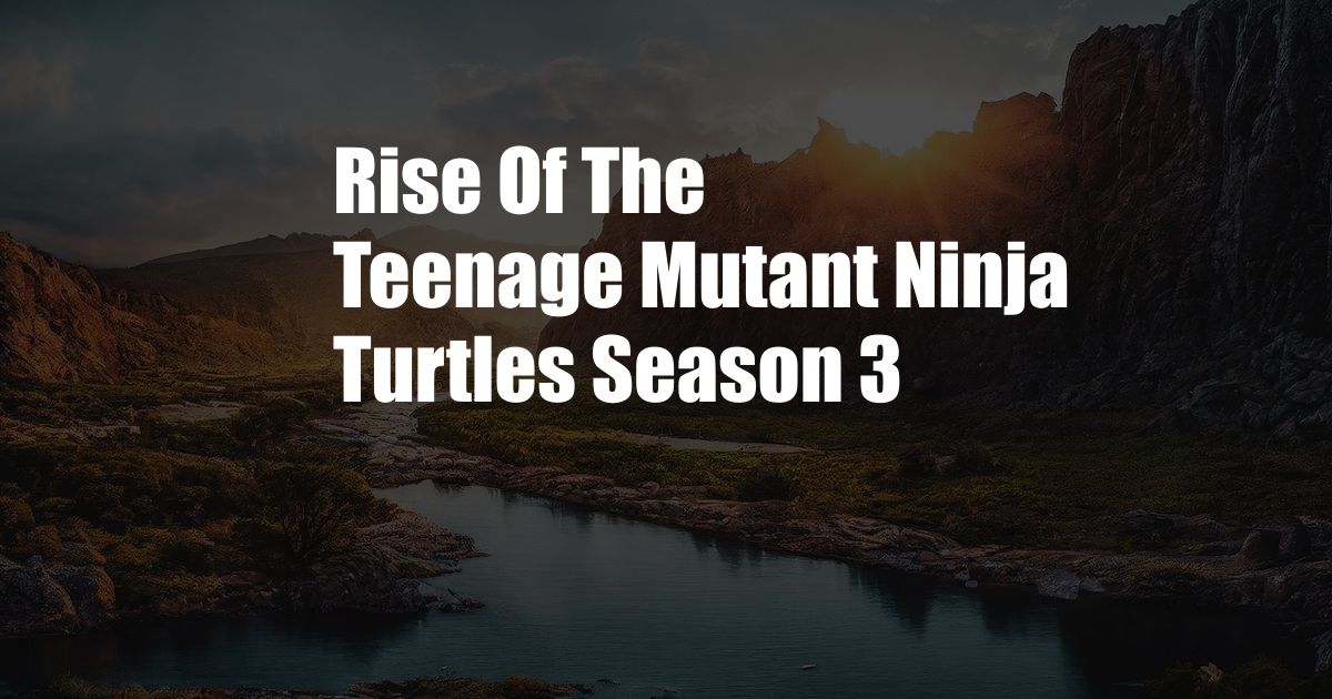 Rise Of The Teenage Mutant Ninja Turtles Season 3