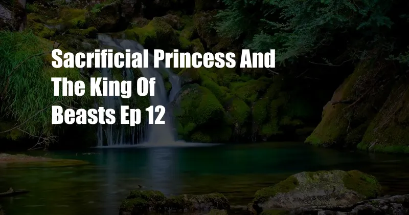 Sacrificial Princess And The King Of Beasts Ep 12