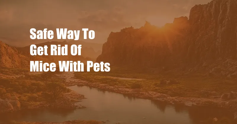 Safe Way To Get Rid Of Mice With Pets