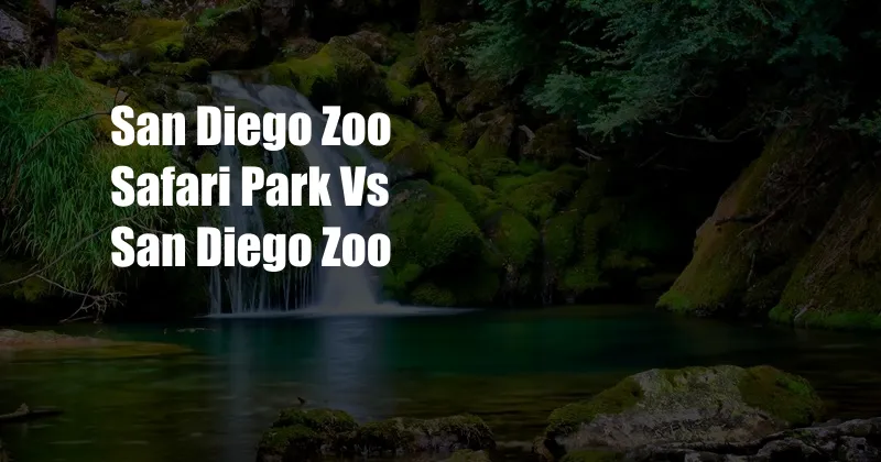 San Diego Zoo Safari Park Vs San Diego Zoo
