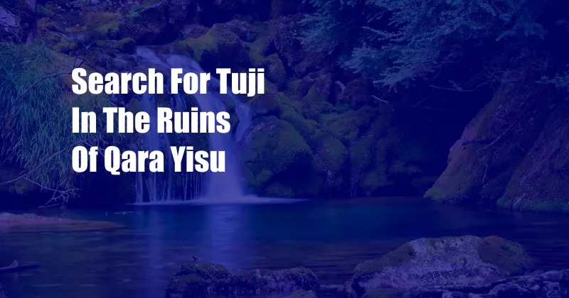 Search For Tuji In The Ruins Of Qara Yisu