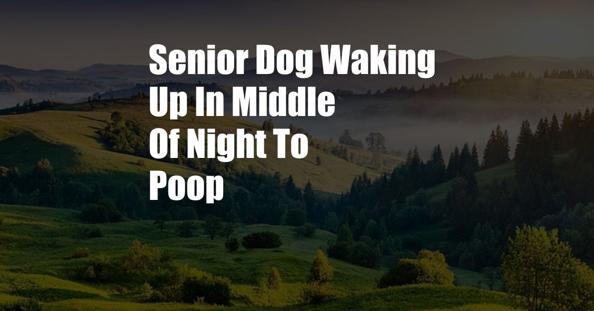 Senior Dog Waking Up In Middle Of Night To Poop