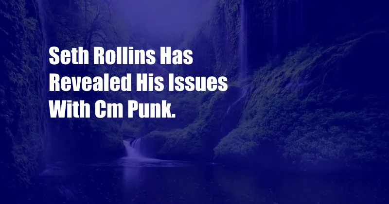 Seth Rollins Has Revealed His Issues With Cm Punk.