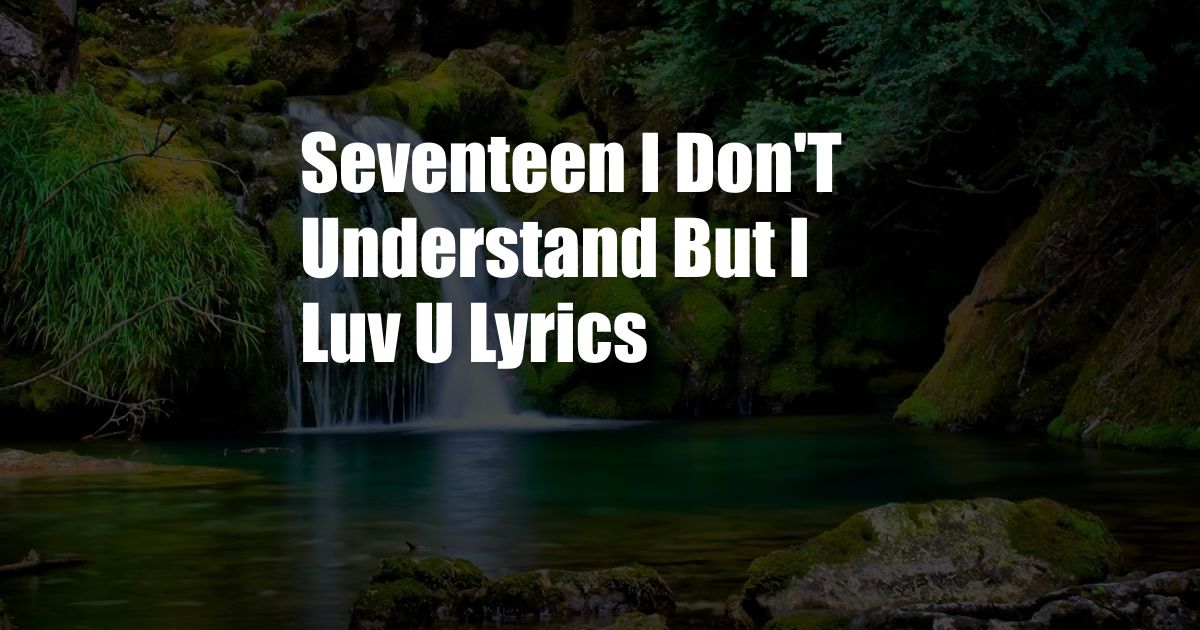 Seventeen I Don'T Understand But I Luv U Lyrics