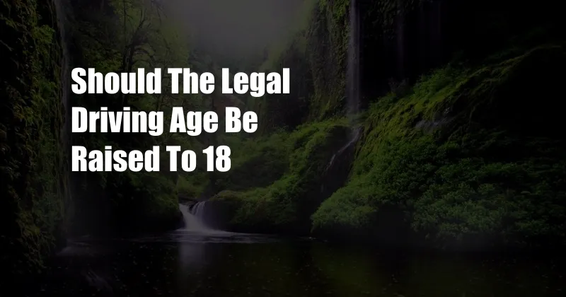 Should The Legal Driving Age Be Raised To 18