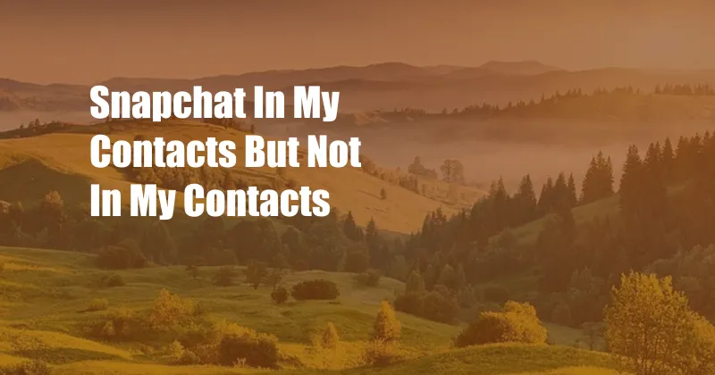 Snapchat In My Contacts But Not In My Contacts