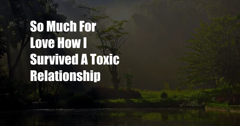 So Much For Love How I Survived A Toxic Relationship