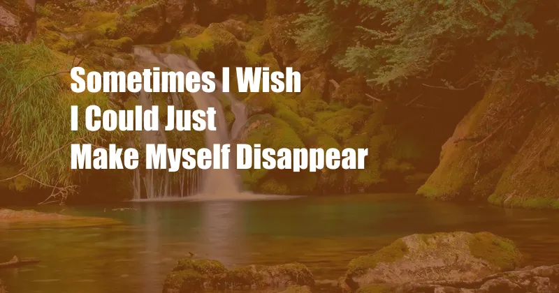 Sometimes I Wish I Could Just Make Myself Disappear