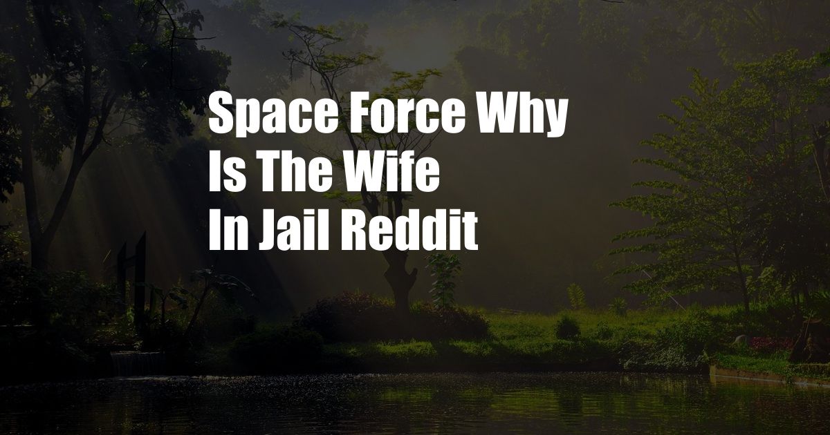 Space Force Why Is The Wife In Jail Reddit