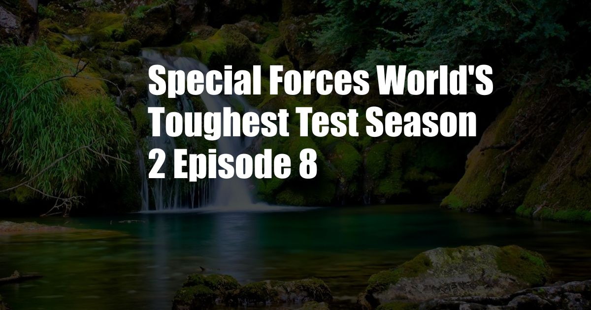 Special Forces World'S Toughest Test Season 2 Episode 8