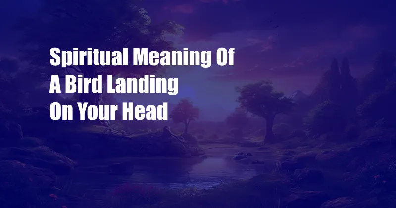 Spiritual Meaning Of A Bird Landing On Your Head