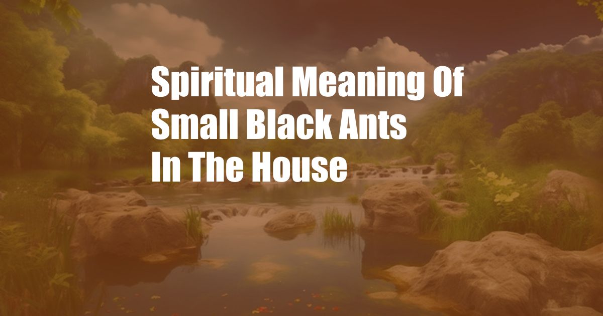 Spiritual Meaning Of Small Black Ants In The House