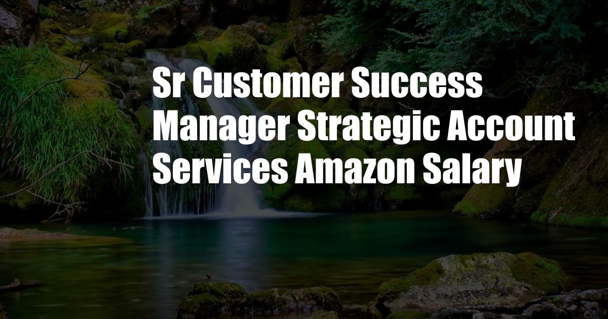 Sr Customer Success Manager Strategic Account Services Amazon Salary