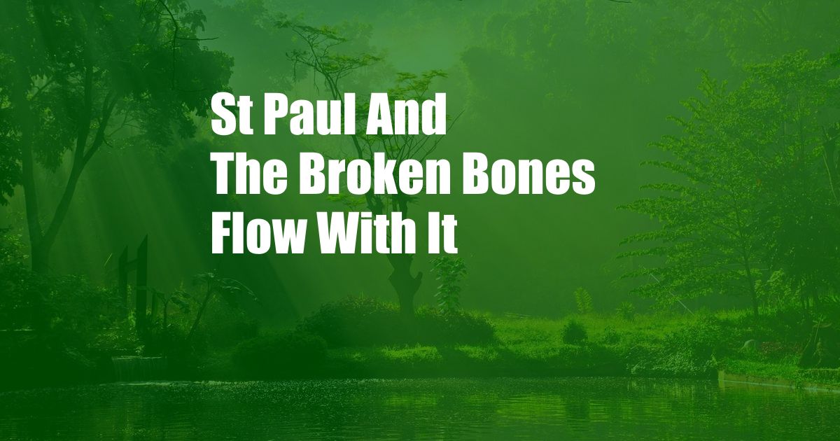 St Paul And The Broken Bones Flow With It