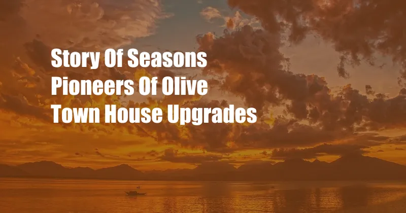 Story Of Seasons Pioneers Of Olive Town House Upgrades