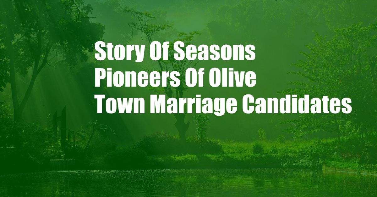 Story Of Seasons Pioneers Of Olive Town Marriage Candidates