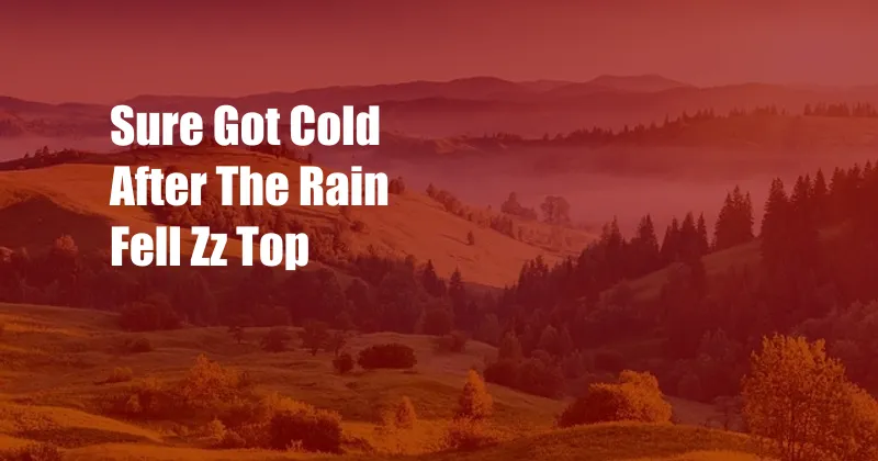 Sure Got Cold After The Rain Fell Zz Top