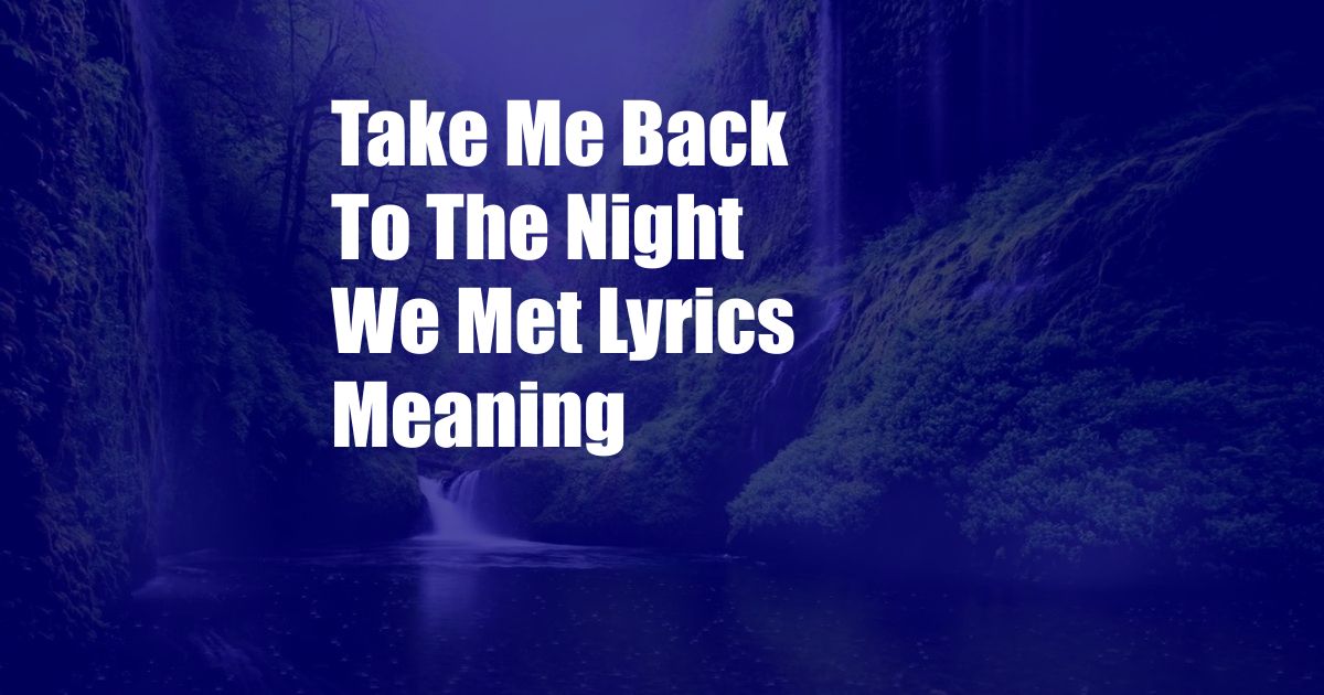 Take Me Back To The Night We Met Lyrics Meaning