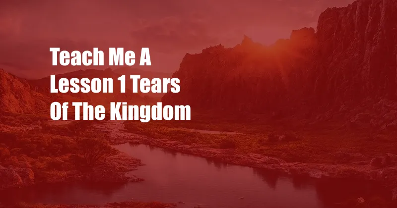 Teach Me A Lesson 1 Tears Of The Kingdom
