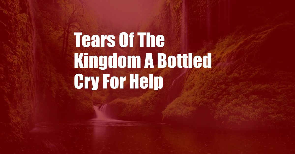 Tears Of The Kingdom A Bottled Cry For Help