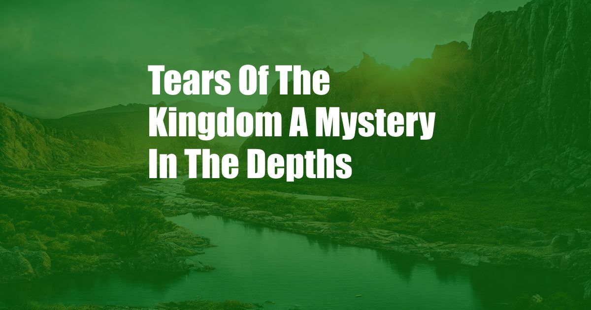 Tears Of The Kingdom A Mystery In The Depths