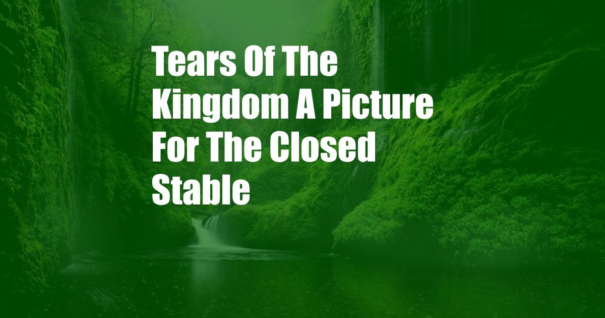 Tears Of The Kingdom A Picture For The Closed Stable